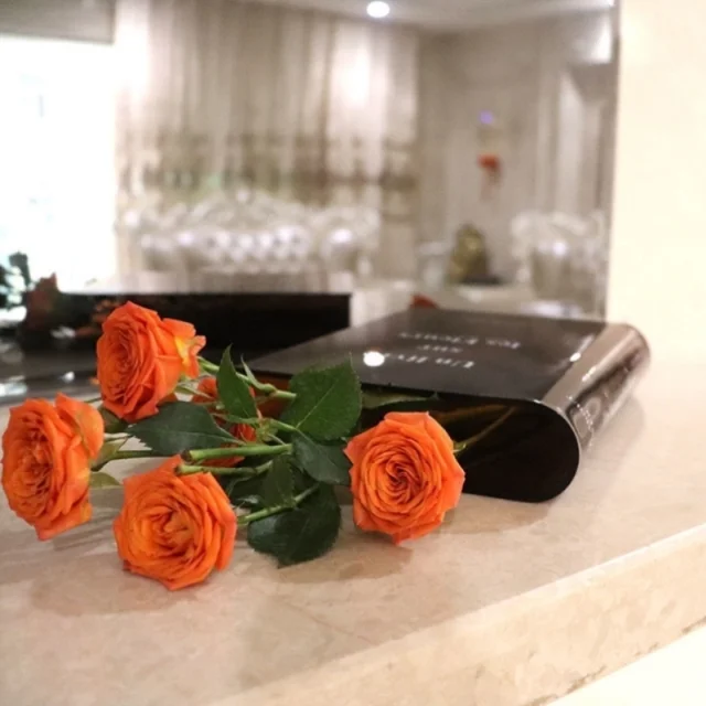 Akril Könyvek Váza Virág Átlátszó Ins Klein Kék Növény Vázák Hidroponikus Asztali Dísz Ajándék Otthoni Dekoráció - Image 5