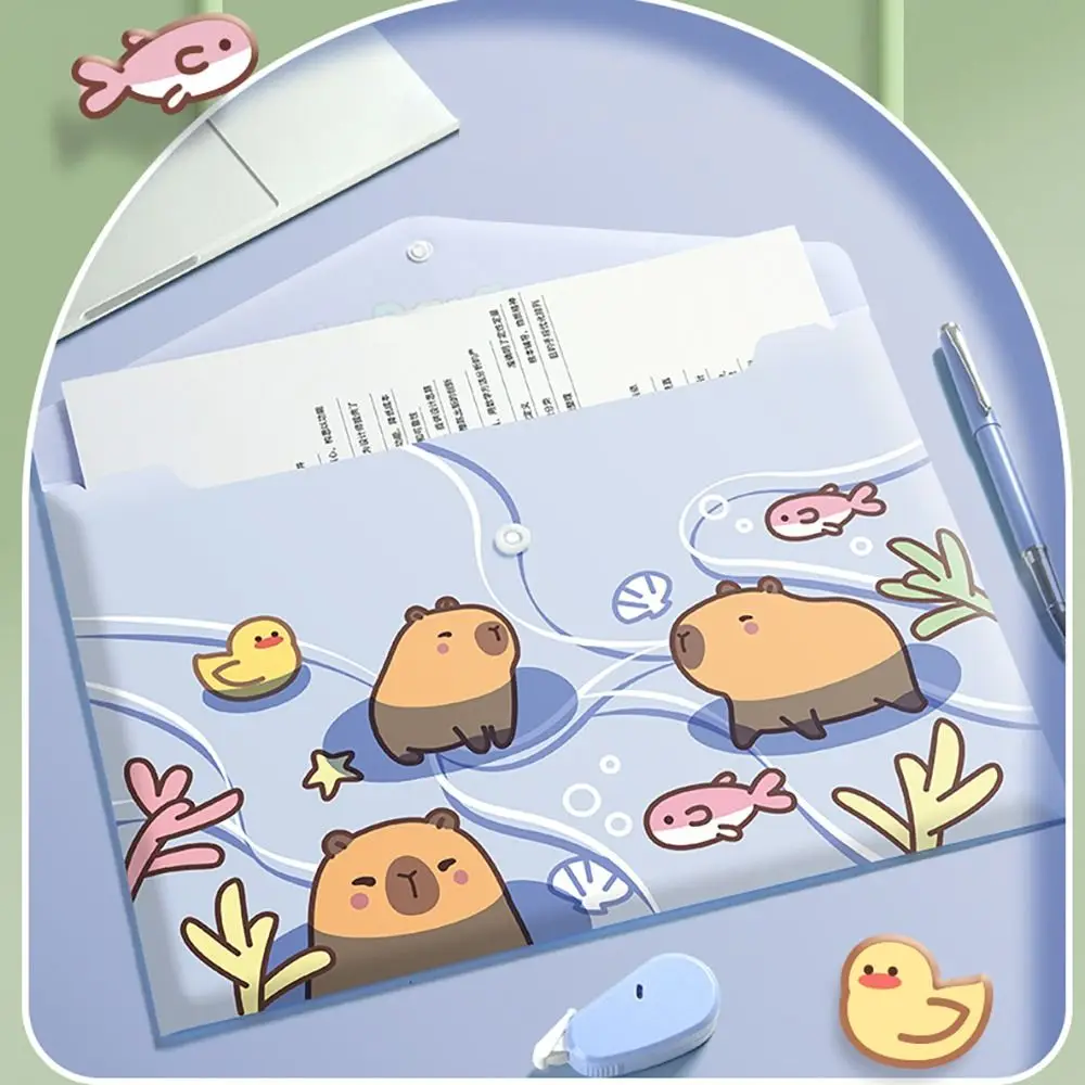 대용량 A4 파일 폴더 시험지 보관 방수 문서 가방, PP 스냅 패스너 봉투 폴더, 세트당 5 개