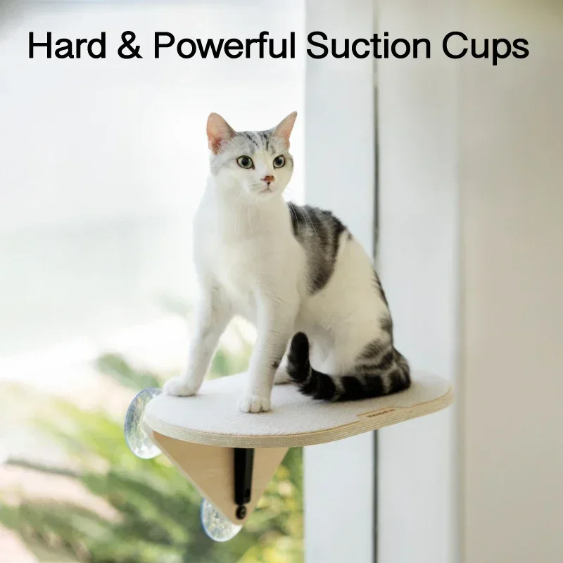 

Hammock Cups Cat Board Scratch Trees Suction Window Beds Furniture Toys Scratcher And Tower Kitty Climbing Powerful