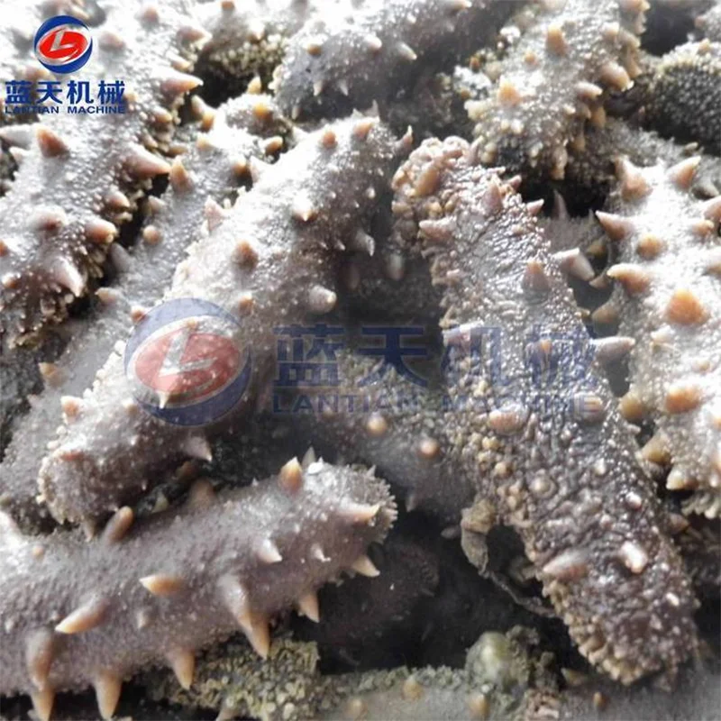 Kelp Skirt Vegetable Desalting Hair Roller Cleaning Equipment Spanish Mackerel Fish Washing Machine Crayfish Kelp Cleaner 4