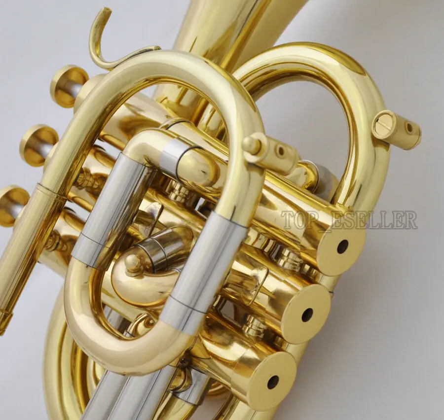 Description Picture 4 of itemProfessional C Key Pocket Trumpet Gold Lacq Cornet Horn Monel Valve New Case