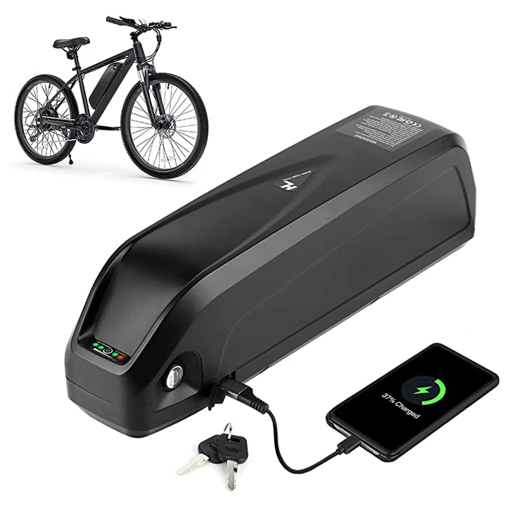 E-Bike-Batterie 48V 36V Hagel 30a BMS Elektro fahrrad Unterrohr