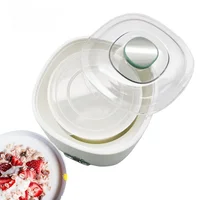 Mini Home Automatically Yogurt Maker 2