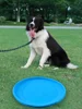 Pet Supplies  Floating Flying Saucer Dog Toy Interactive Training Soft, Tear Resistant, Bite Resistant Dog Outdoor Toys 3