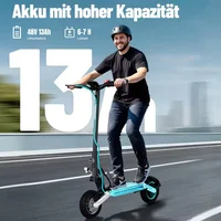 Trottinette électrique TODIMART G2-ZX 10 pouces pour adultes, moteur 500W, 48V 13Ah, autonomie 40-60 km, trottinette électrique pliable avec double freinage, certifiée ABE 4