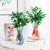Flower Pots Transparent Vases Hydroponic Flower Vases Plastic Transparent Diamond Shaped Creative Home Decor Ornaments 5