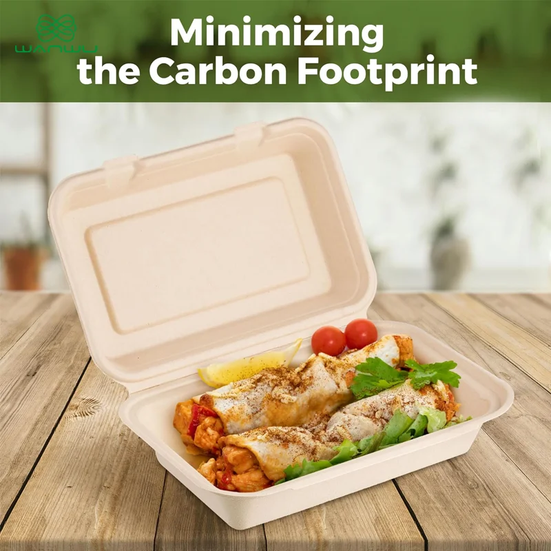50 pcs Harvest Pack 9 X 6 inch Square Hinged Containers,Flip Top Take Out Boxes,Heavy Duty Bagasse Food Containers