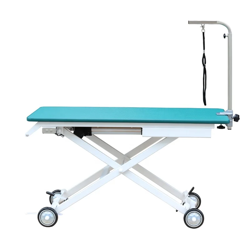 

AEOLUS Electric Mobile Grooming Table new design use handy smart elevated Electric Mobile Grooming Table pet salon easy moving