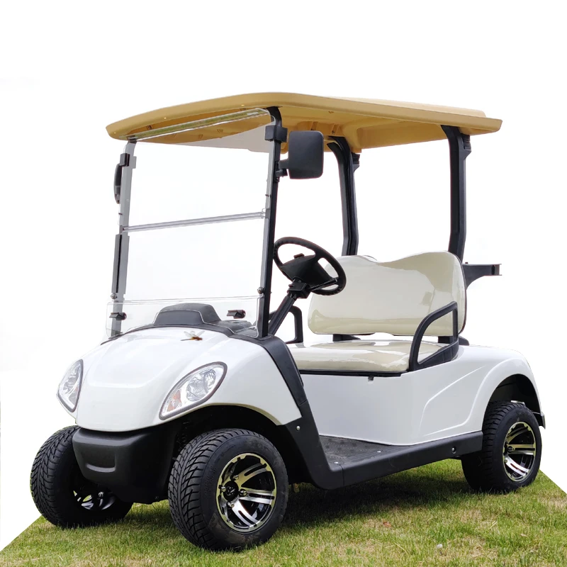 

New Product Great Electric Golf Cart 2 Seater Factory Direct Sales Delivery 30-35 Days 2 Seats Golf Cart