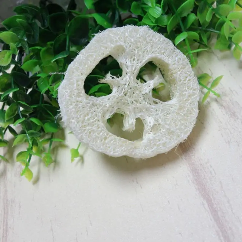 Рисунок 3 - Органические ломтики Loofa