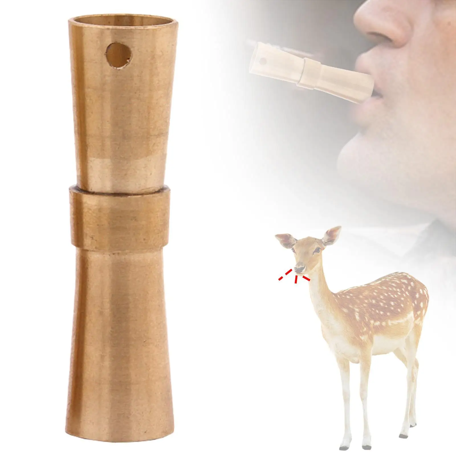 Porte-appeaux professionnel en laiton - Accessoire stable portable pour chasse avec leurres