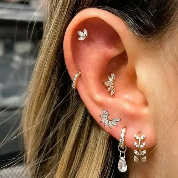 2024 Stainless Steel Stud Women Girl Crown Zircon Pendant Tragus Ear Cartilage Daith Septum Piercing Earring Helix Y2k Jewelry 2