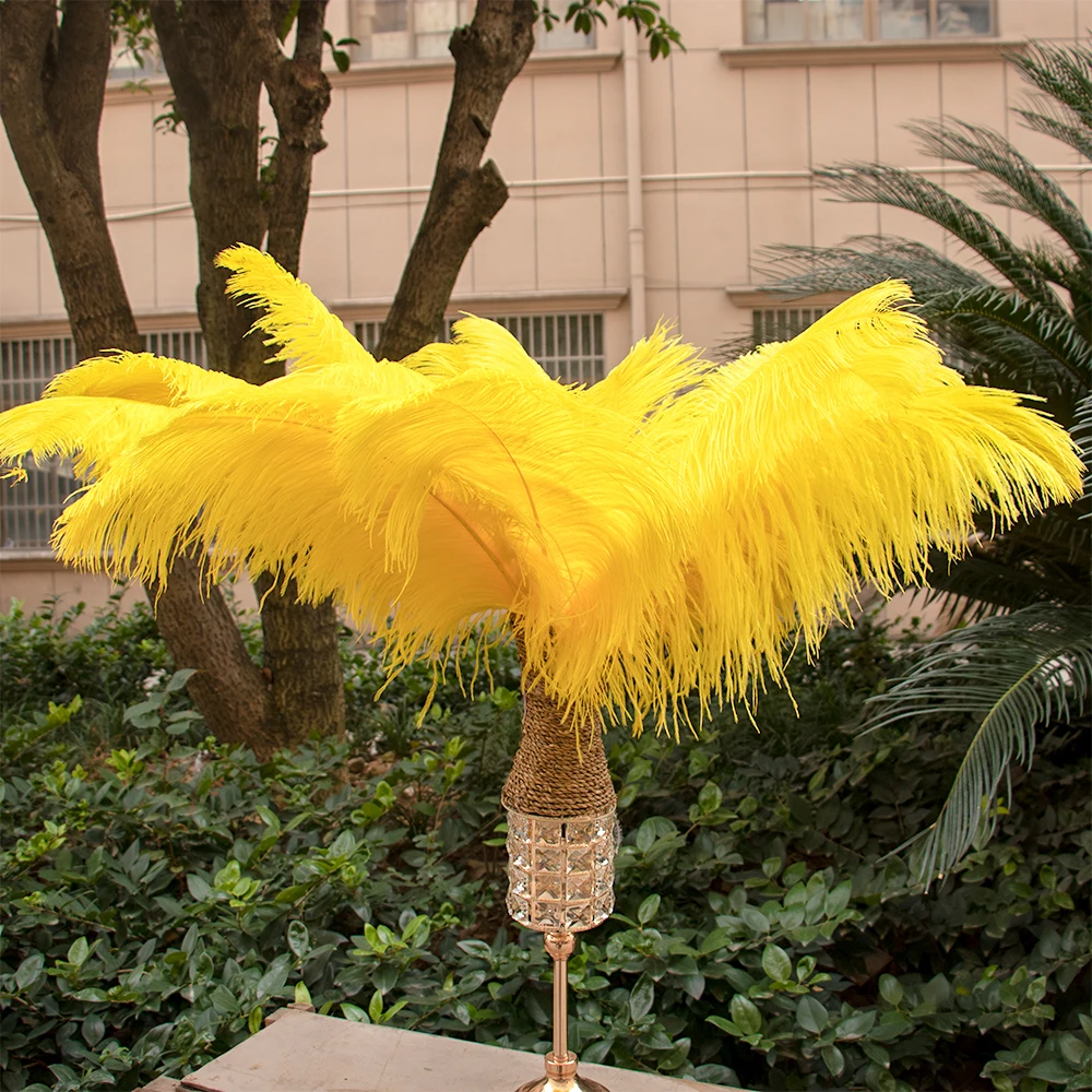 

Large Pole Ostrich Feather Handicrafts Wedding Dress Decorate Carnaval Assesory 10Pcs/Lot 50-55CM High Quality Ostrich Feathers