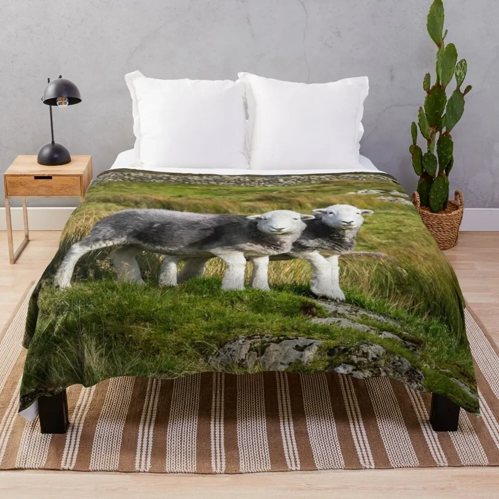

Herdwick Sheep Landscape Throw Blanket Extra Large Throw Plaid Blankets