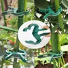 20Pcs Plant Fixed Clips Reusable Garden Greenhouse Bracket for Fixed Plants Vine Flower Seedling Stem Support Garden Supplies 4