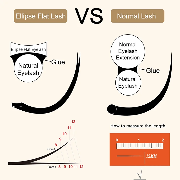 Description Picture 4 of itemSENSE LASHES Ellipse Flat Classic Eyelash Extensions Double Tips Matte Black Super Soft Individual Lashes Faux Mink Eyelashes