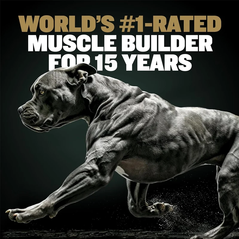 300G BULLY MAX 11 IN 1 MUSCLE GAIN Supplement For Dogs, Enhances Strength Endurance, Boosts Performance Training