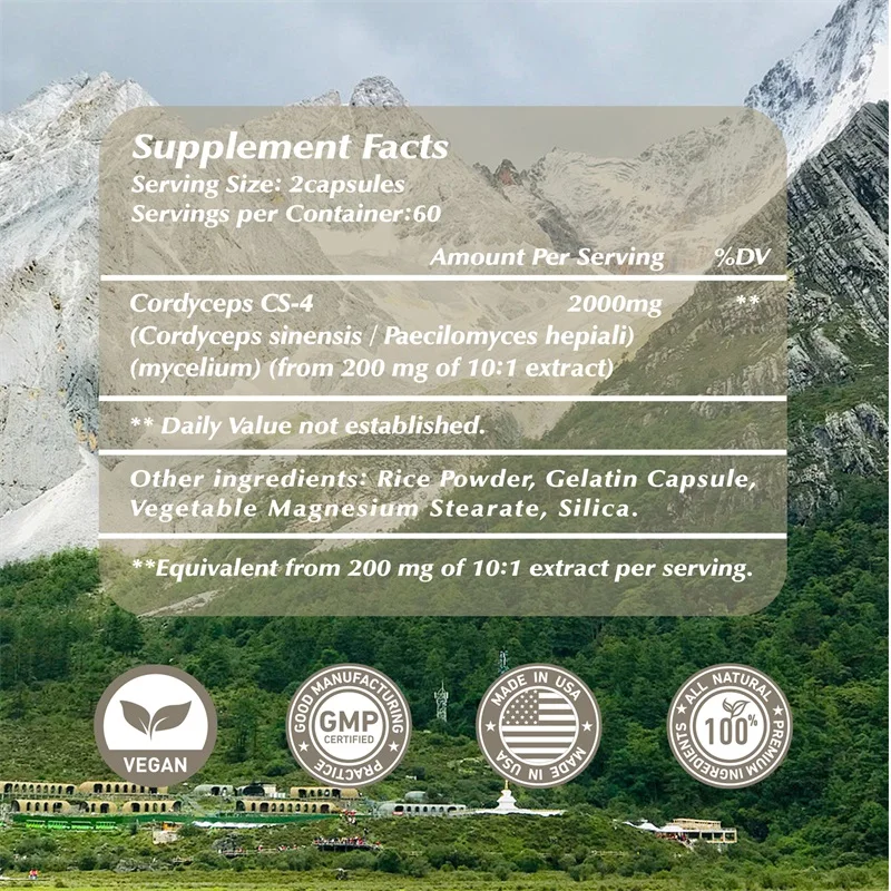 Cordyceps Energy Respiratory Immune Kidney Health Support