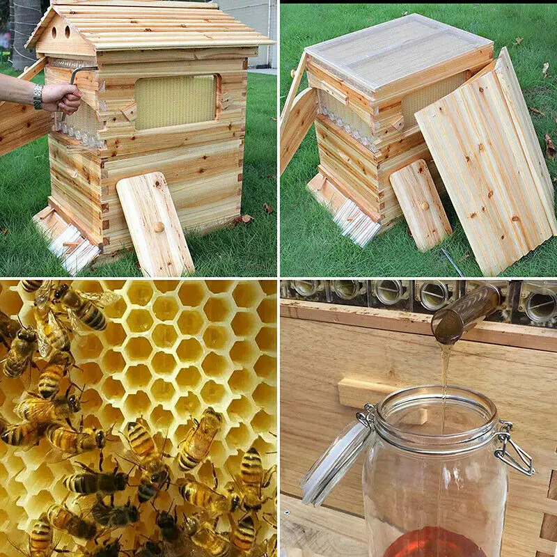 Self-flowing Beehive Wooden Bee Box Automatic Bee 7pcs Nest Honey Selectable Beekeeping Tools Set Equipment Beekeeper beekeeping tools bee breeding box