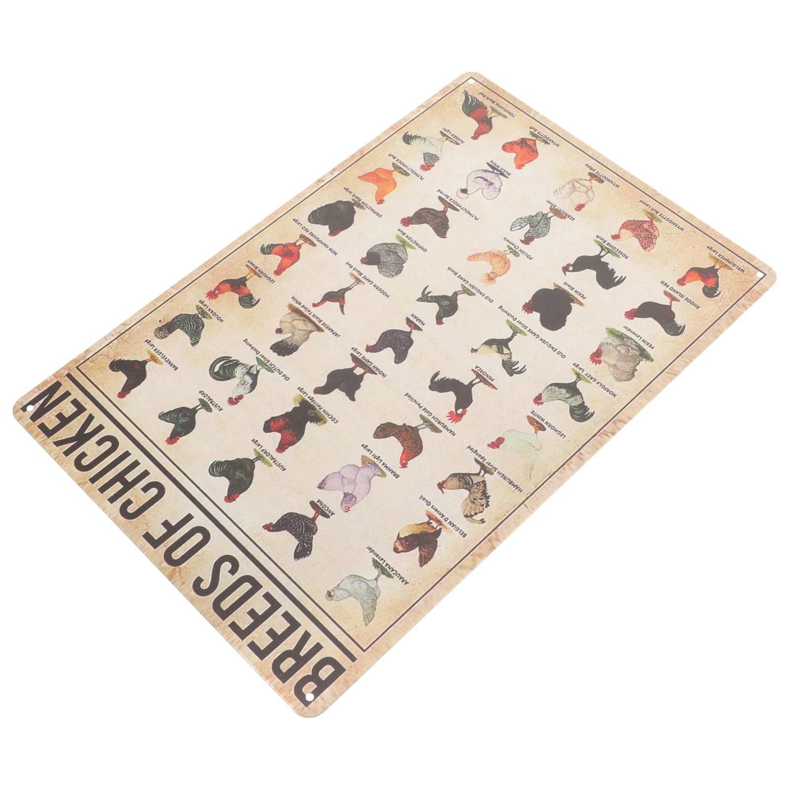 Wall Craft Decor Chicken Knowledge Poster Metal Craft Sign Vintage Craft Knowledge Sign Vintage Sign Metal Wall Craft Decoration