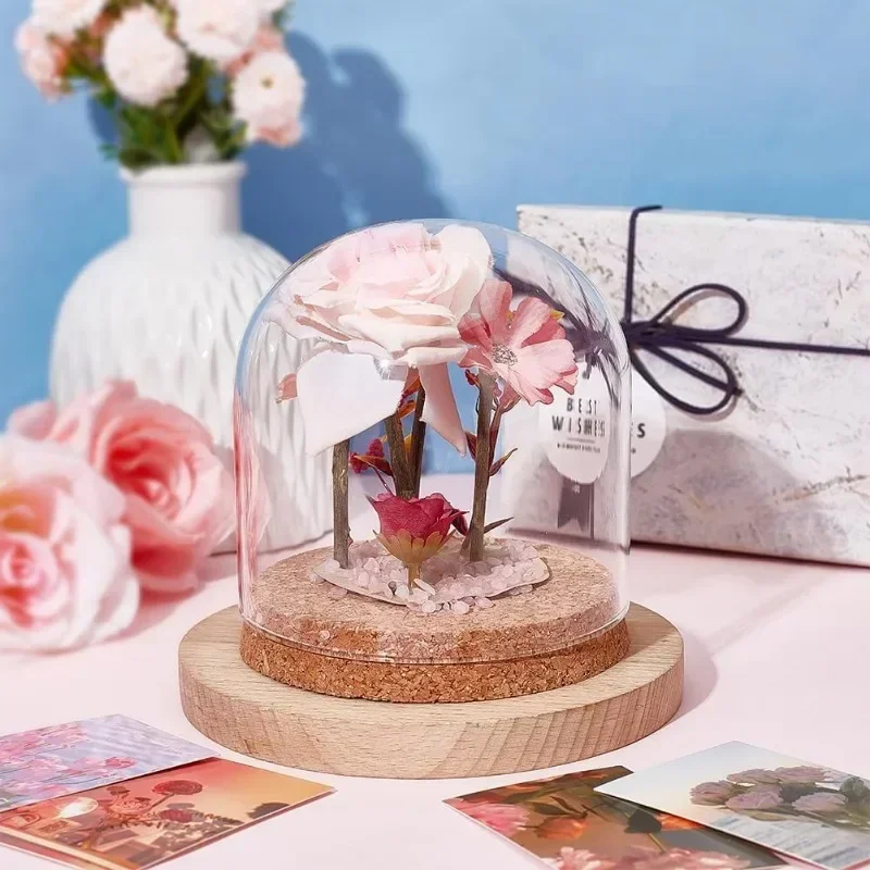 1 pc Glass Display Dome Cloche Glass Bell Jar Display Dome Decorative Jars with Cork Base for Flower Plants Specimens