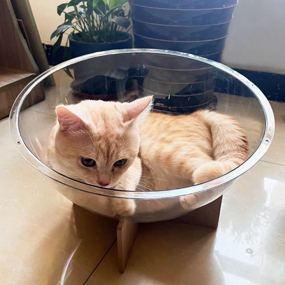 아크릴 돔형 고양이 둥지 커버, 방진 식품 공간 캡슐 디자인, 투명한 애완동물 급식기 쉼터, 고양이를 위한 간편한 접근 가능