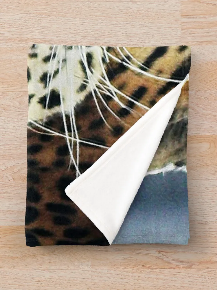 ġŸ ������ ���, ���� ħ�� ���, ķ�� ���, ���� ���