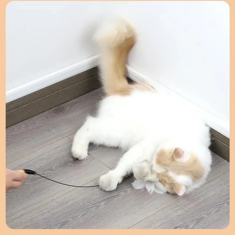 Title 4, Wooden handle spring cat teasing stick feather ...