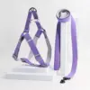 A pet dog double-color harness dog leash for indoor and outdoor use 4