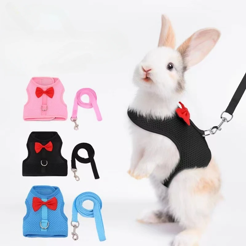 

Cute Rabbit Harness Set Bunny Vest Harnesses Guinea Pig Leashes for Outdoor Walking Lead Rope for Small Pets Supplies