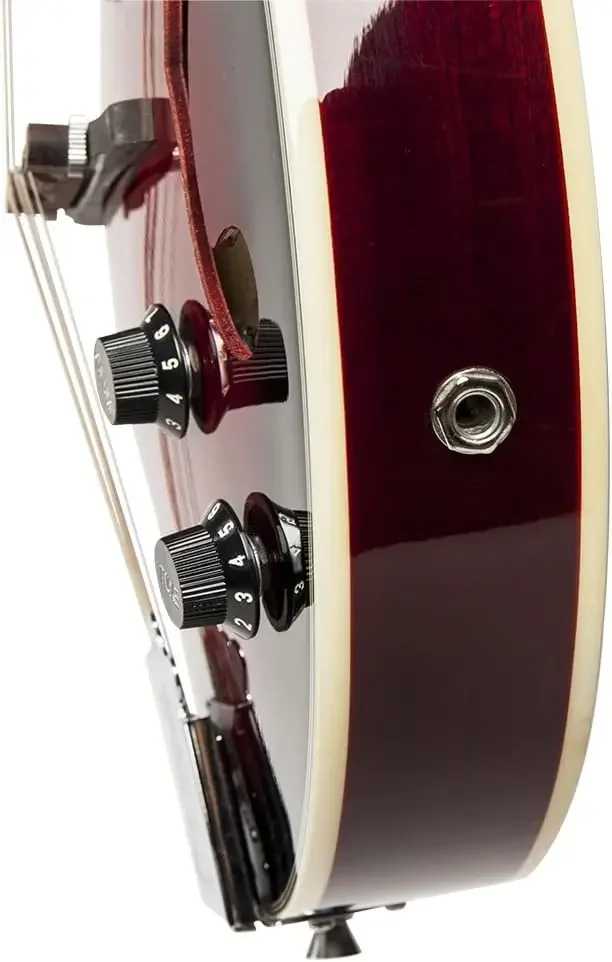 Acoustic-Electric Bluegrass Mandolin with Nato Top-Redburst