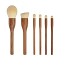 6pcs Brushes