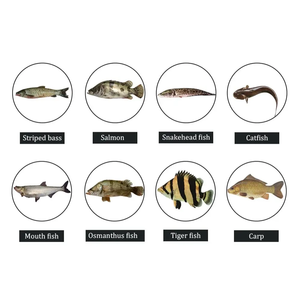 Fishing Ball Bobbers Fishing Float Fishing Bobber Fishing Buoy Fishing Tackle 25mm 40mm 50mm