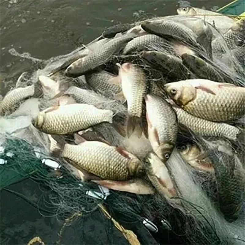 30m Fischernetz 3-lagige Fisch netz falle weiße Seide Kiemen netz Netz gerät Outdoor-Angel geräte Werkzeuge 1,5 m hohe Fischernetze – Detail 6