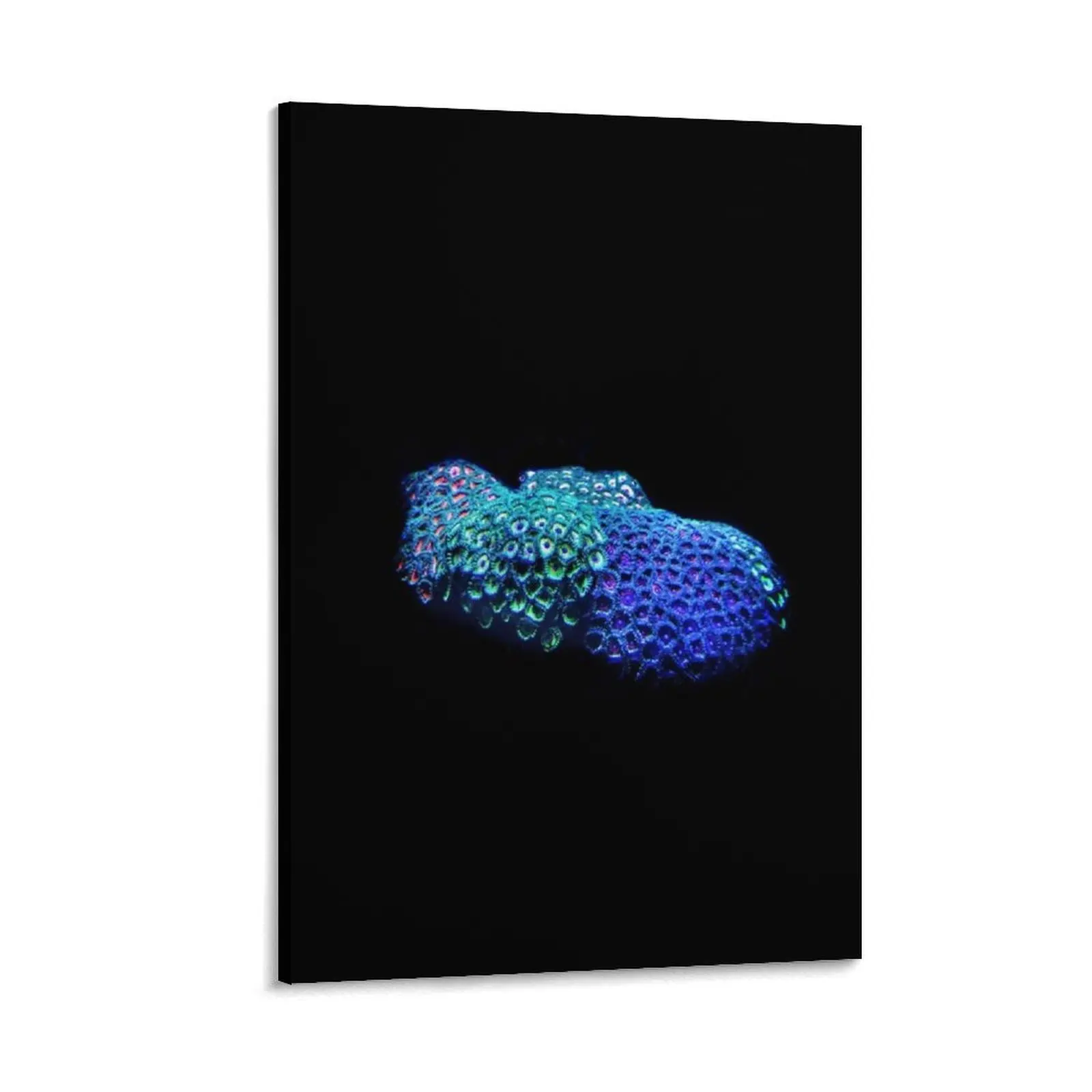

Zoanthid Coral Canvas Painting Wall paintings decorative wall poster posters canvas wall art