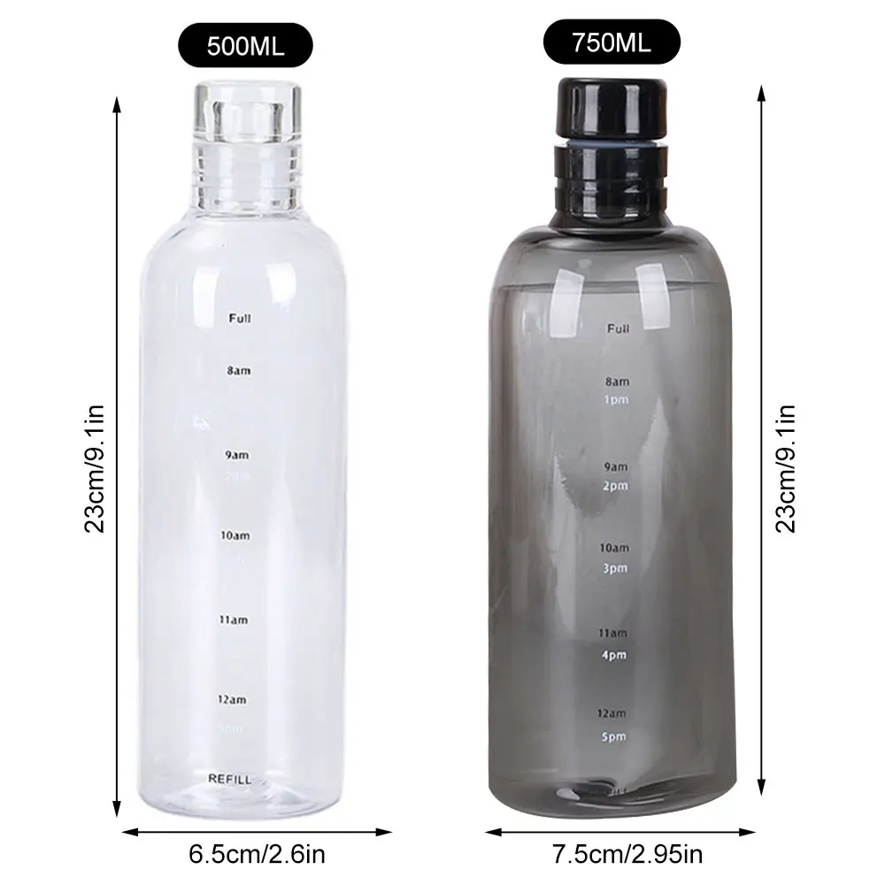 280ml Summer Clear Frosted Water Bottle Simple Fresh Male Female