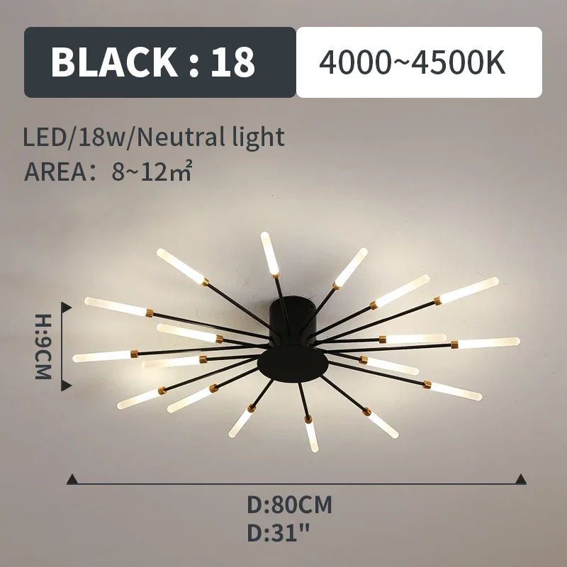 black 18 lights