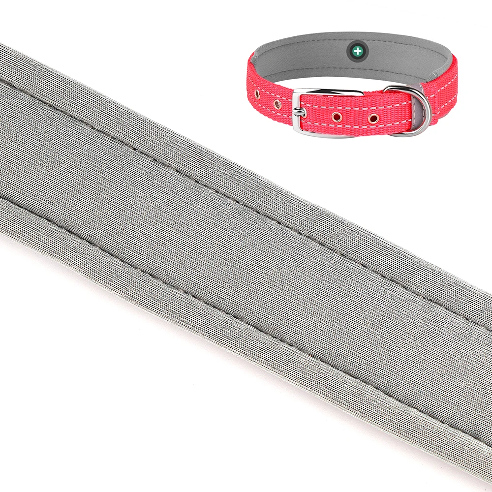 Weiches Nylon-Hundehalsband – Verstellbar, Mit Sicherheitsschnalle, Für Kleine Hunde, Welpen & Katzen (Größe S)