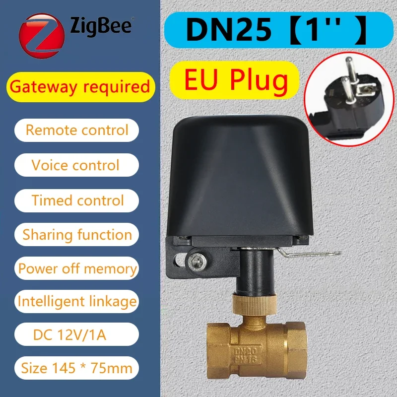 Zigbee DN25 EU