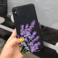 Case-c55