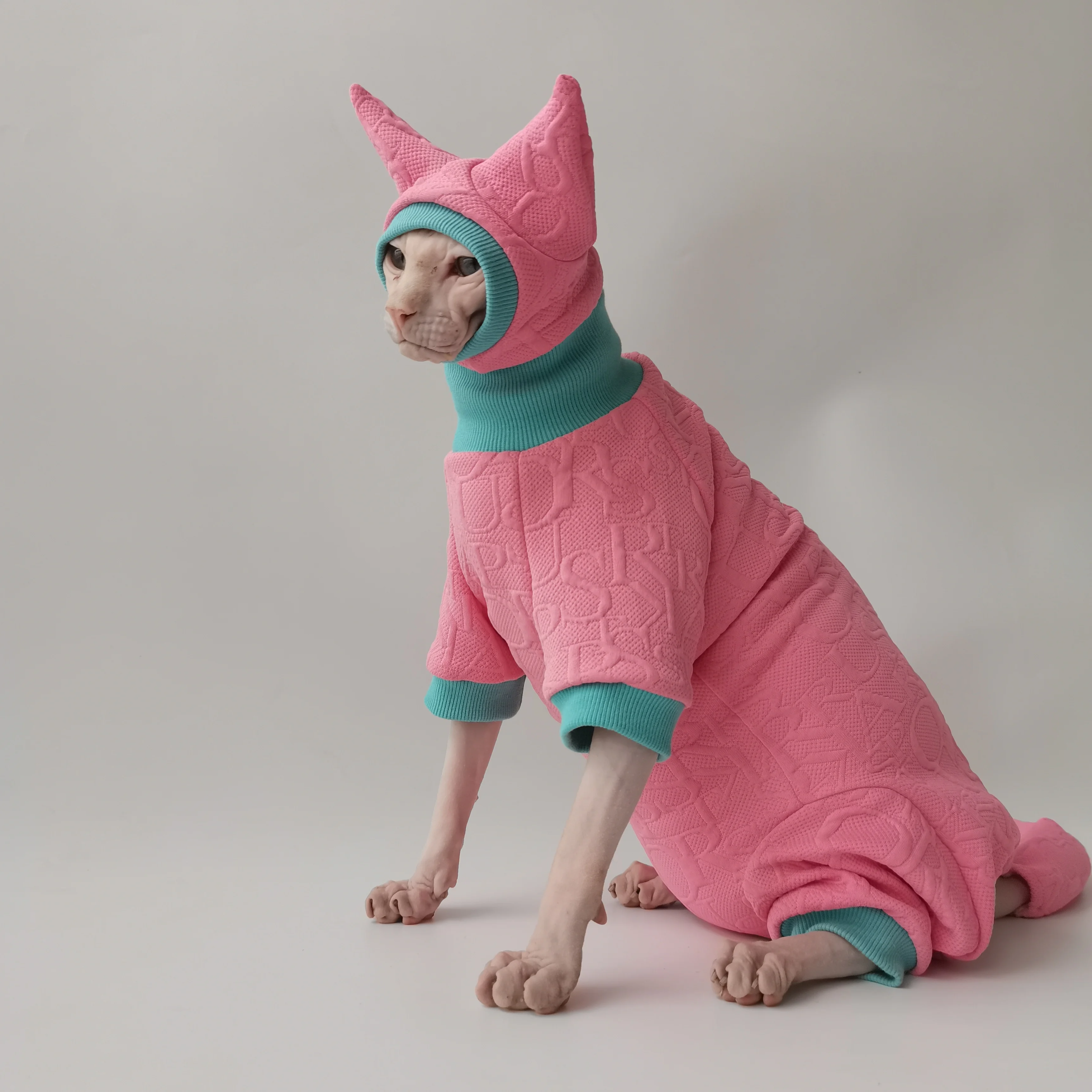 Cats Kittens Cat Clothes Clothes Cats Sphinx Jackets Clothes