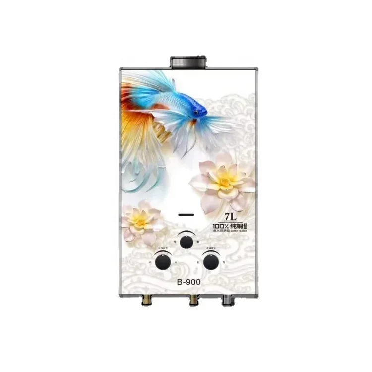 Winter Ice BathManufacturer Hot Sell Item Instant Tankless Type 6/7/8/10/12 Liter Instant Battery Ignition LPG Gas Geyser Water