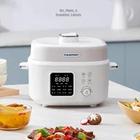 Intelligent 4L Electric Pressure Cooker for Home Use, Multi-function Rice Cooker, Automatic High Pressure Pot 1