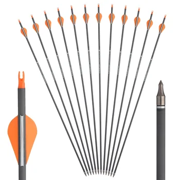 Archery Pure Carbon Arrows 1