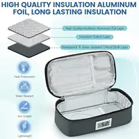 Réfrigération à l'insuline Petit réfrigérateur Réfrigérateur à médicaments pratique avec 2 packs de glace Affichage de la température LED Voyage en plein air 4