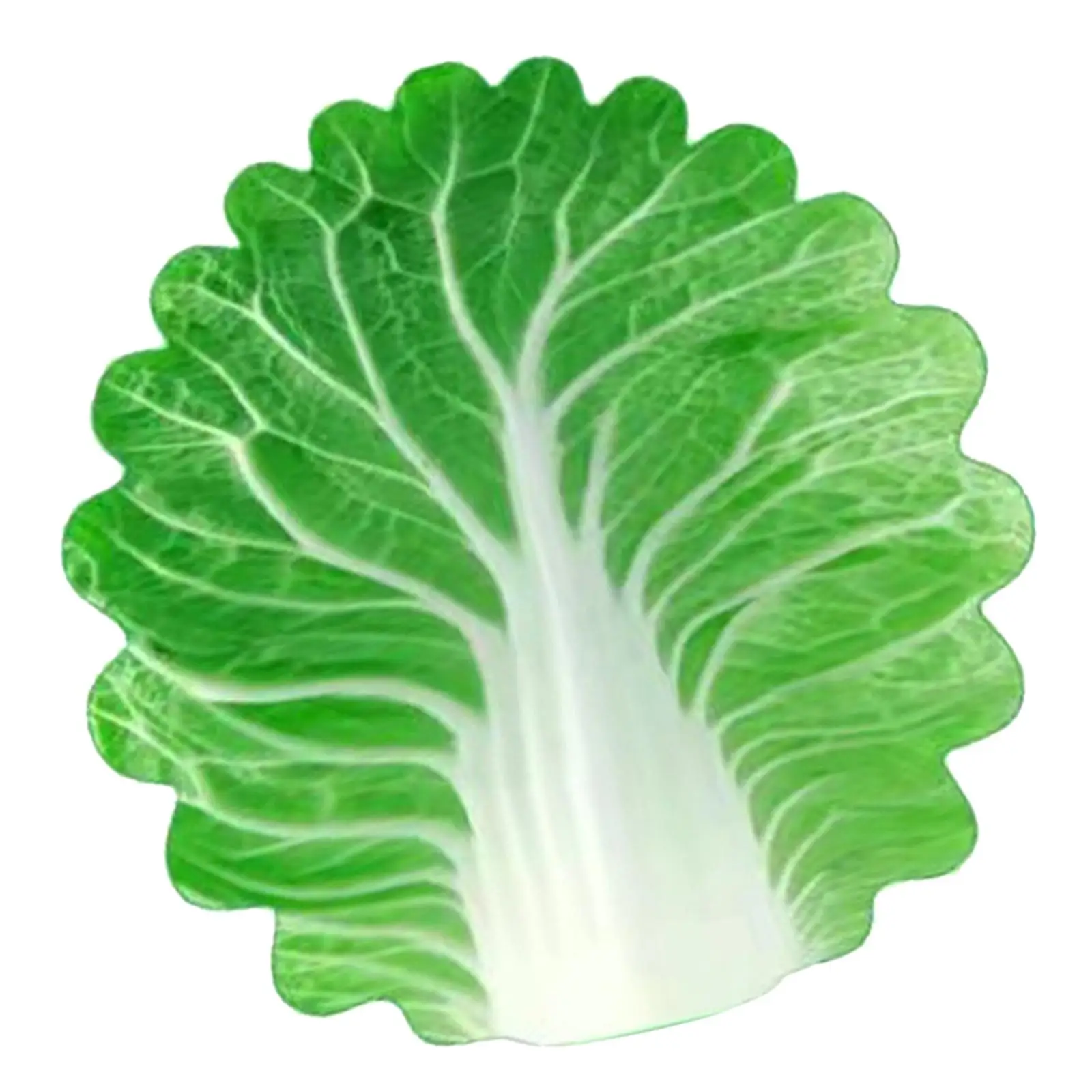  ����� ��� ������ ��� ���, ��Ź ������ �ε巯�� �ö���, ���� ����Ʈ,  �����, ���� �� ���ƿ�