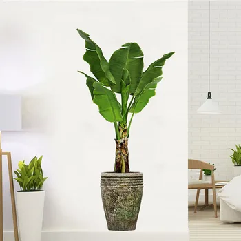 Fresh green plant potted wall stickers for bedroom, living room, foyer, home, and wall decoration