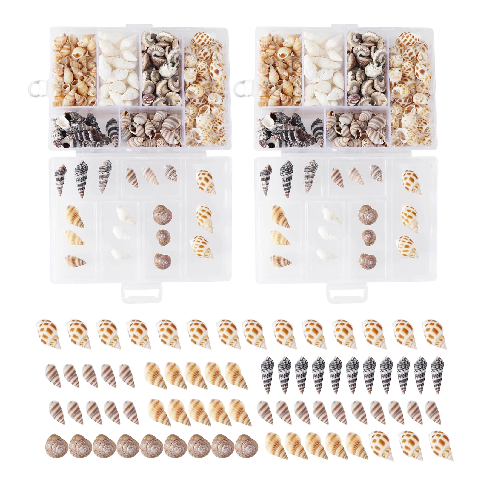 2 Boxes Wedding Beach Decor Crafts Charms Tank Tiny Shells Sea Snails Party DIY Natural Spiral Shell Handicraft Decoration natural shell ornaments