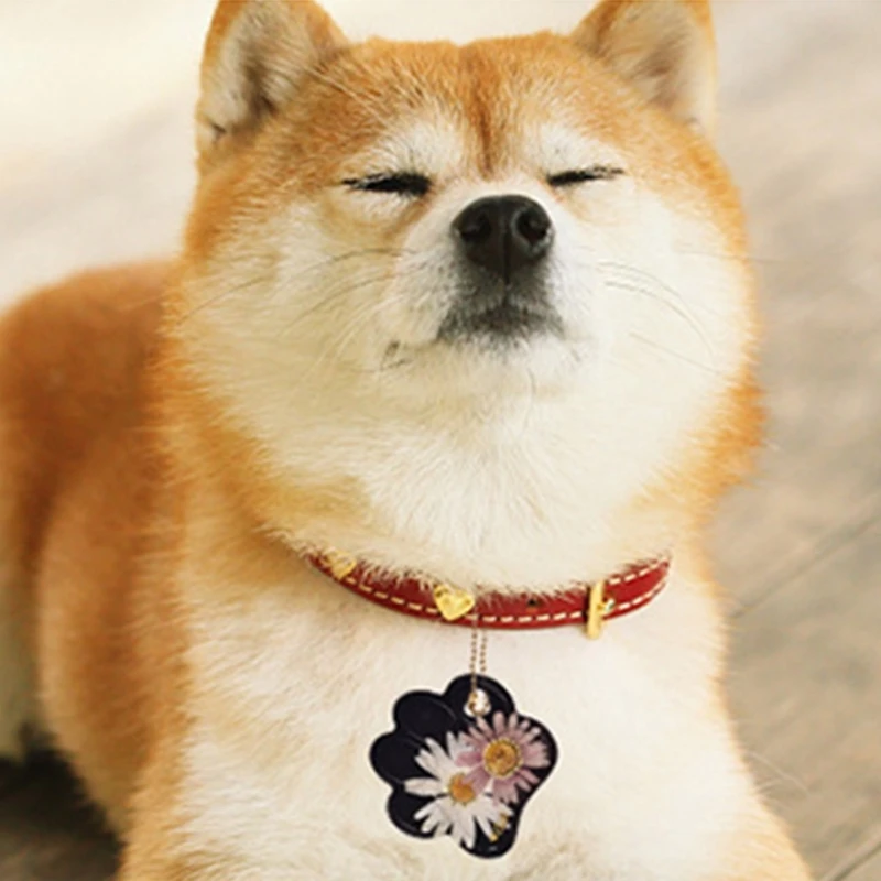 

Брелок, смоляные формы, 7-полости, бирка в форме собачьей кости, подвеска, силиконовая форма для литья, Прямая доставка