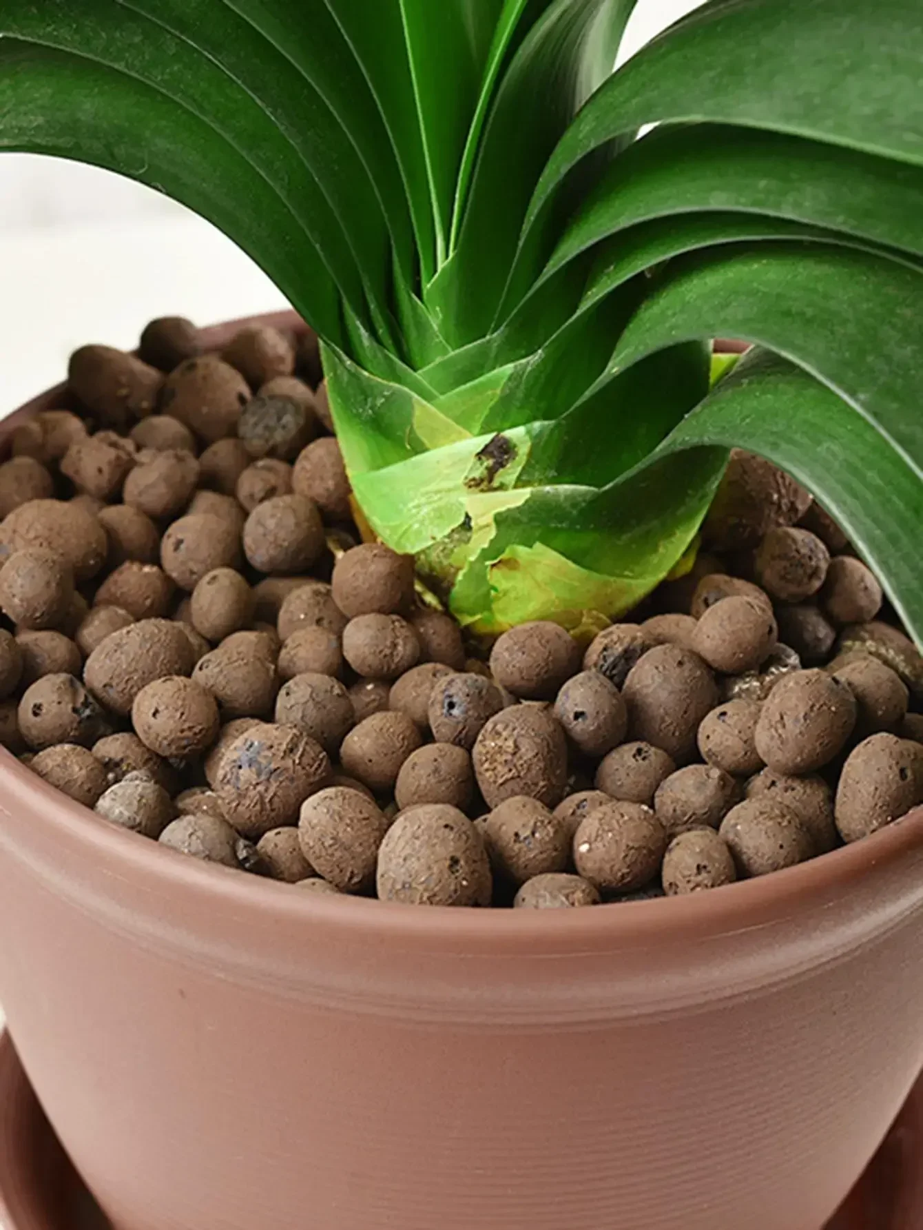 Description Picture 3 of item500g  Clay Pebble Combination Set, Used For Garden Decoration, Micro-Landscape, Bonsai Decoration, Aquarium